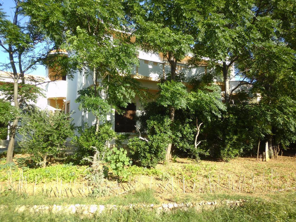 Apartments Kresimir Beauty With Shadow Trees And Parking Place Pag Town Δωμάτιο φωτογραφία