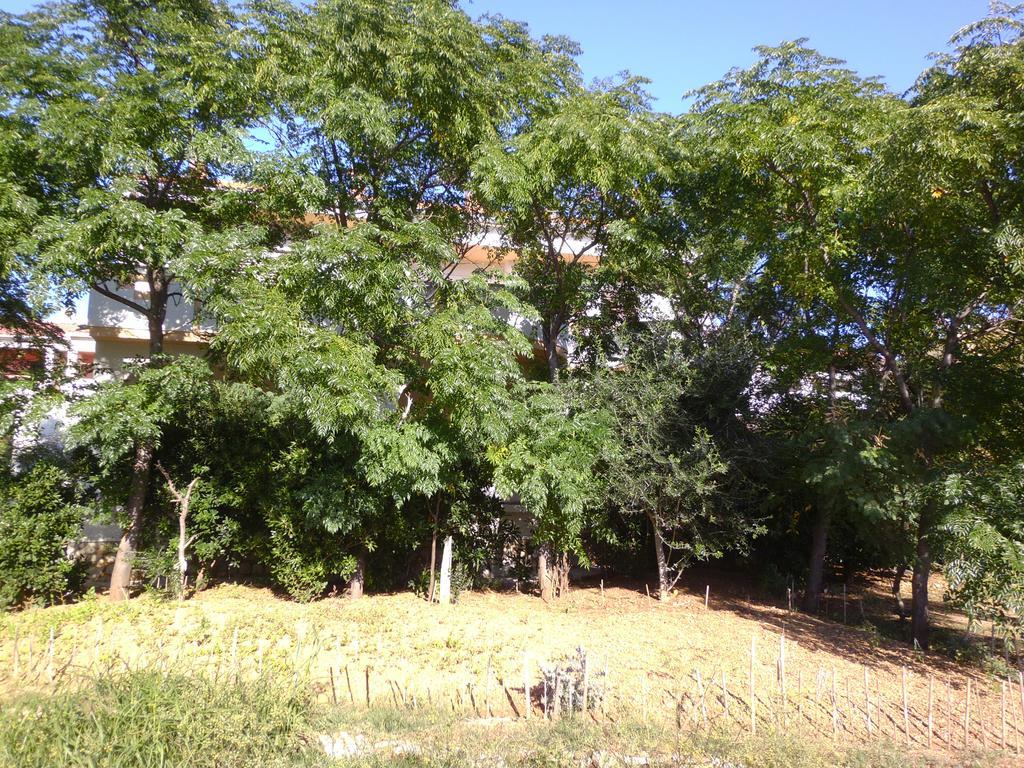 Apartments Kresimir Beauty With Shadow Trees And Parking Place Pag Town Εξωτερικό φωτογραφία