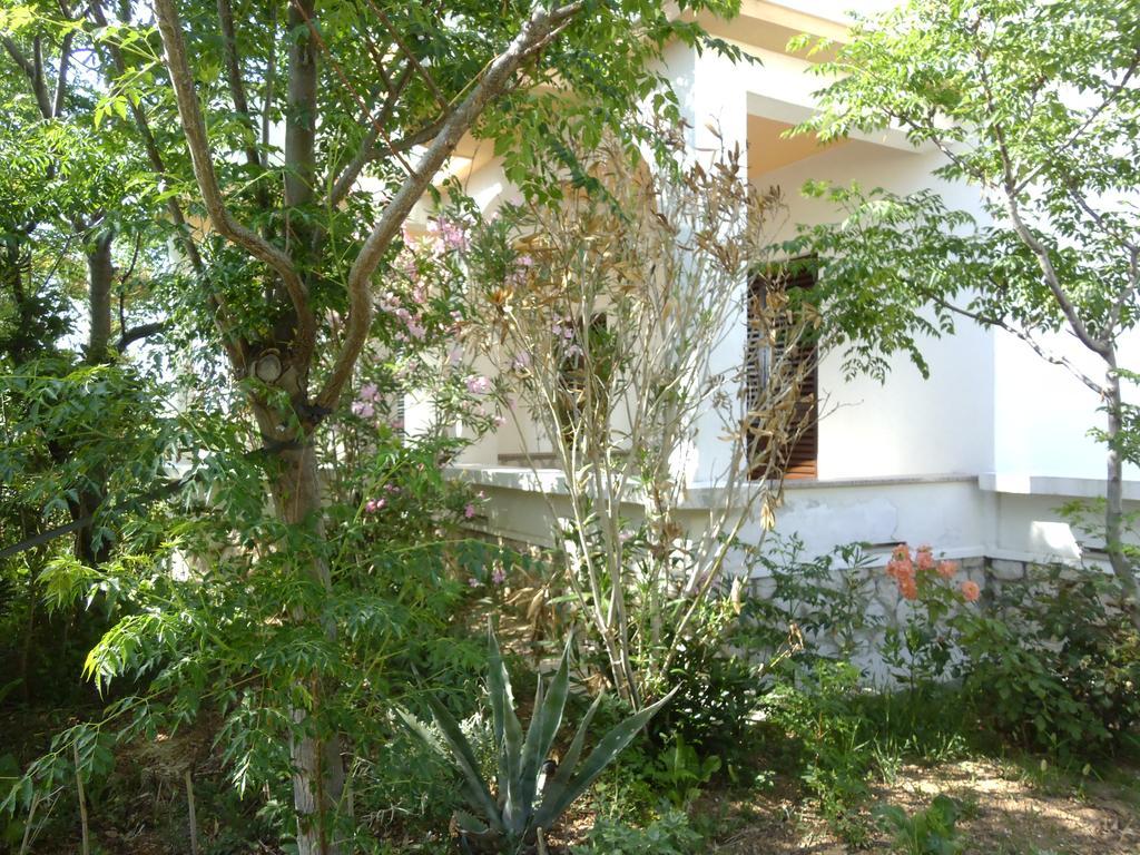 Apartments Kresimir Beauty With Shadow Trees And Parking Place Pag Town Δωμάτιο φωτογραφία