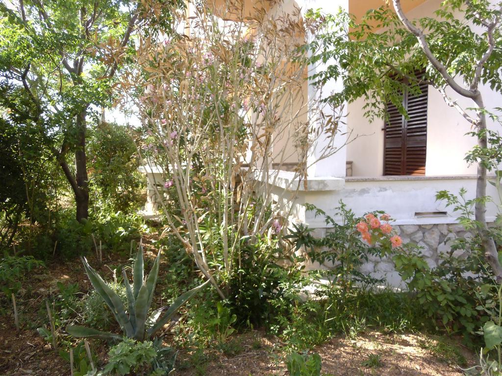 Apartments Kresimir Beauty With Shadow Trees And Parking Place Pag Town Δωμάτιο φωτογραφία