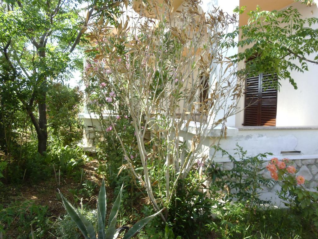 Apartments Kresimir Beauty With Shadow Trees And Parking Place Pag Town Δωμάτιο φωτογραφία